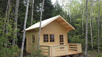 The Peacock Loft Bunkie